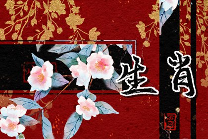 越活越年輕的生肖女，秘訣原來在這里