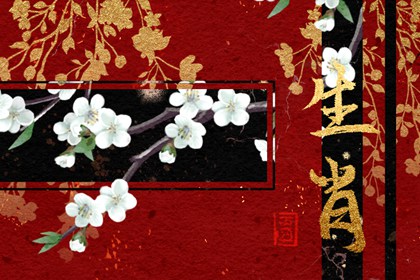 6月學(xué)習(xí)運(yùn)最好的生肖2024年 ?；⒑镉型鸢耦}名
