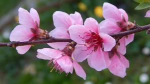 桃花局教你馬上有對(duì)象