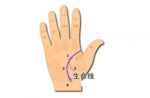 雙重生命線代表什么呢？有什么含義呢？