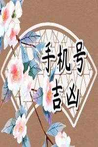 號(hào)碼吉兇測(cè)算,絕命磁場(chǎng)加伏位磁場(chǎng)，讓你兢兢業(yè)業(yè)還缺錢。