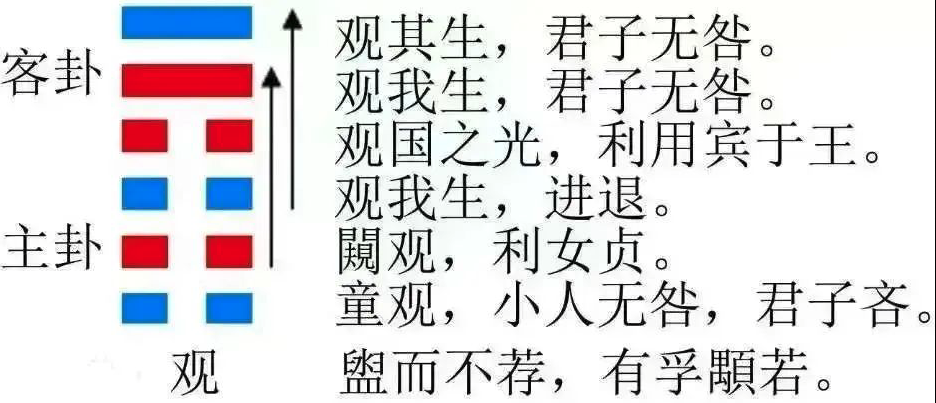 2023年10月8日十二生肖運(yùn)勢揭秘來啦