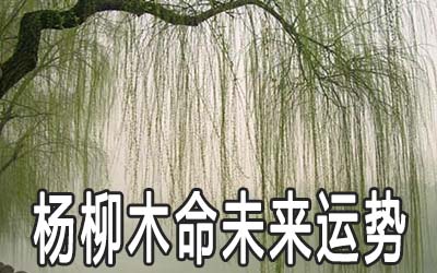 楊柳木命的男人一生命運(yùn)運(yùn)勢好不好