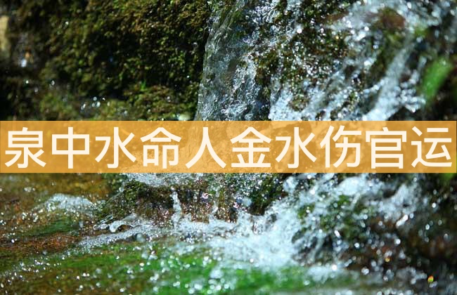泉中水命人金水傷官運(yùn)勢解析 會有財(cái)運(yùn)嗎