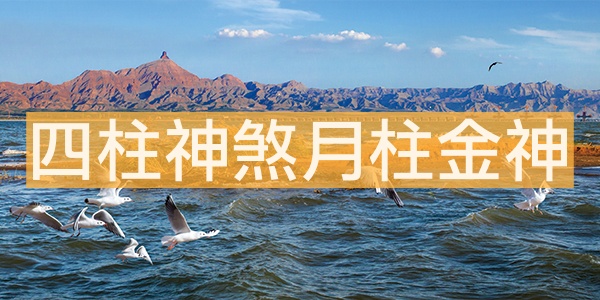 四柱神煞月柱金神具體代表著什么？