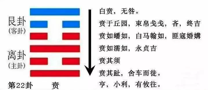 2023年10月22日十二生肖運(yùn)勢(shì)揭秘來啦