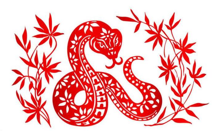 屬蛇2024年整體運(yùn)勢(shì)，屬蛇2024年的運(yùn)勢(shì)及運(yùn)程！
