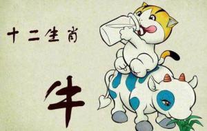 屬牛2024年整體運(yùn)勢(shì)，屬牛2024年的運(yùn)勢(shì)及運(yùn)程！