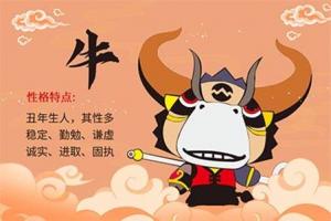 2024屬牛要小心一個(gè)人，今年屬牛的要躲著誰(shuí)？