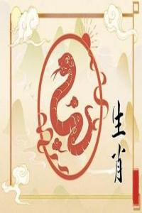 2024屬蛇的運勢和財運怎么樣