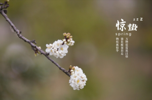 驚蟄節(jié)氣的特點(diǎn)和風(fēng)俗