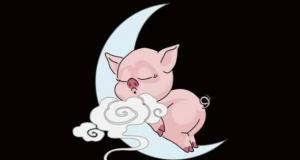 晚上生肖是什么生肖，十二生肖晚上的生肖有哪些？