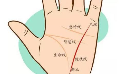 女人手相事業(yè)線圖解大全，女人手相事業(yè)線怎么看？