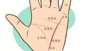 女人手相事業(yè)線圖解大全，女人手相事業(yè)線怎么看？