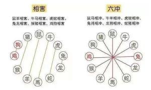 生肖相沖真的不能在一起嗎，怎么化解？