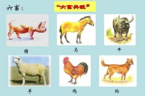 卜算子算命網