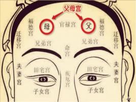 日月角突出的面相，日月角突出必為貴人