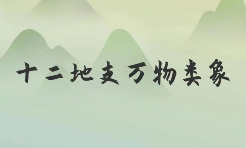 類象是什么意思，八卦萬物類象詳解！