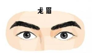 龍眉的男人命運，男人龍眉面相！