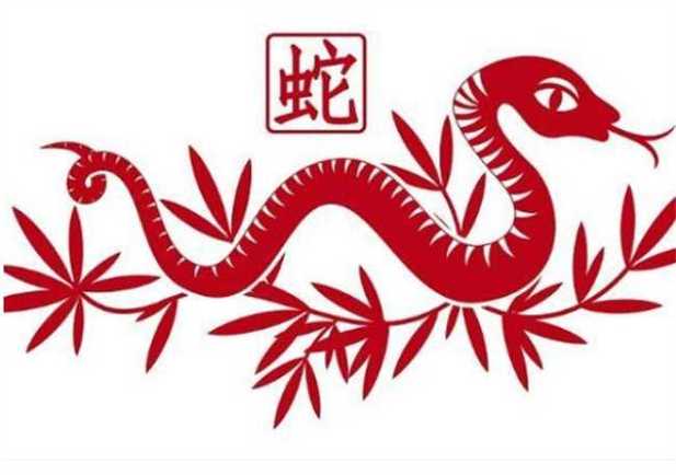 屬蛇的和什么屬相最配、相克