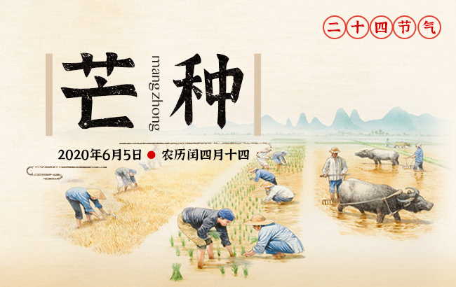 芒種的芒字是什么意思，芒種的寓意和象征