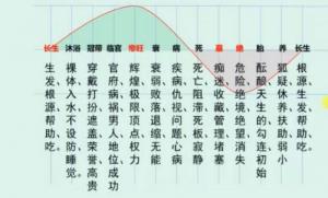 十二長(zhǎng)生對(duì)照表，十二長(zhǎng)生的用法與詳解！
