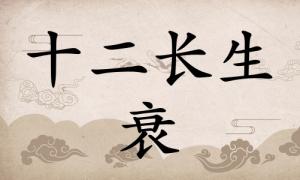 衰在八字里面代表什么，衰在八字里面代表什么意思？ 