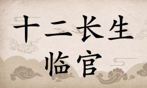 臨官在八字里面代表什么，臨官在八字中代表什么意思？