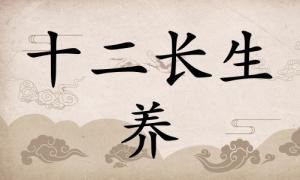 養(yǎng)在八字里面代表什么，養(yǎng)在八字中代表什么意思？