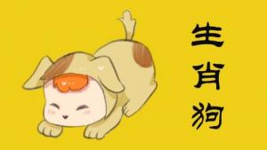 屬狗2024年運(yùn)勢(shì)及運(yùn)程詳解，屬狗人2024年每月運(yùn)勢(shì)完整版！