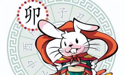 屬兔人2024年全年運勢運程，屬兔人今年運勢2024年每月運勢！