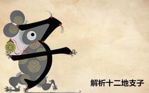 十二地支子是什么意思，五行屬什么？