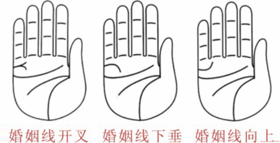 婚姻線(xiàn)分叉代表什么，婚姻線(xiàn)分叉是什么意思？