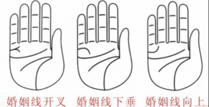 婚姻線分叉代表什么，婚姻線分叉是什么意思？