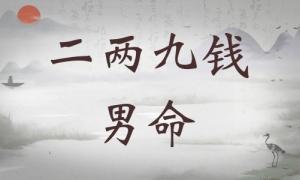 二兩九錢男命詳細(xì)解釋，二兩九錢男命詳解一生！