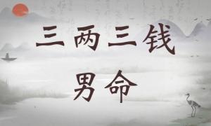 三兩三錢男命詳細(xì)解釋，三兩三錢男命最正確詳解！