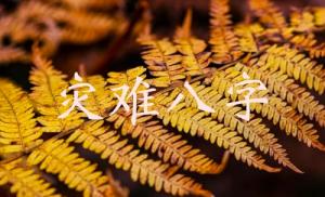 命局里易出現(xiàn)災難的八字
