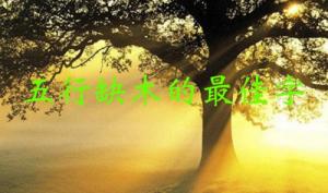 五行缺木的最佳字，五行缺木屬性的字大全！