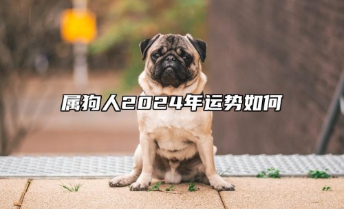 屬狗人2024年全年運勢運程，屬狗人2024年每月運勢及運程詳解！