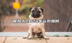 屬狗人2024年全年運(yùn)勢運(yùn)程，屬狗人2024年每月運(yùn)勢及運(yùn)程詳解！