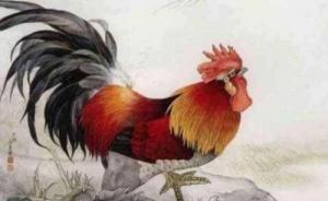 屬雞最討厭的生肖是誰(shuí)