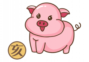 屬豬人2024年全年運勢及運程，屬豬人2024年每月運勢及運程！