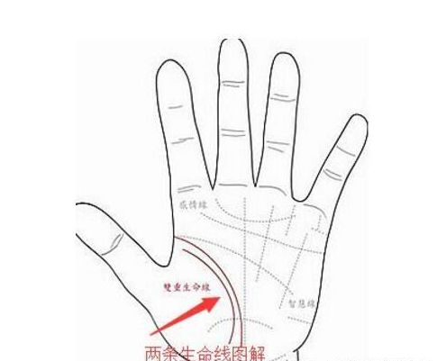 雙重生命線好不好,兩條生命線好不好？