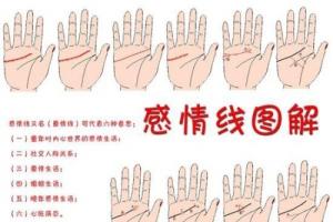 感情線圖解大全，感情線到中指下方表示什么？