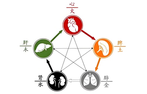 五行內(nèi)臟對照表，五行內(nèi)臟對應(yīng)關(guān)系！