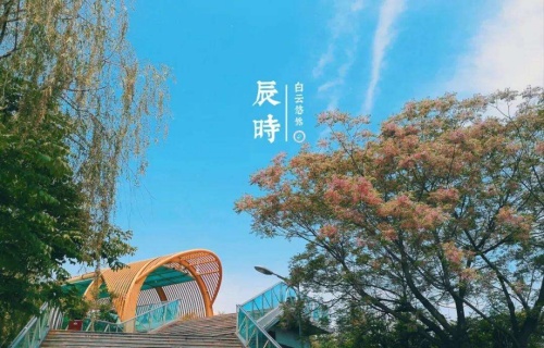 辰時出生的男孩什么命