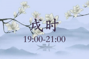 戌時五行屬什么