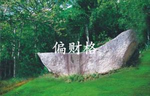 偏財格命局是什么意思