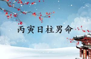 丙寅日柱男命運詳解