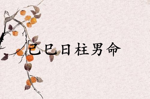 己巳日柱男命運詳解